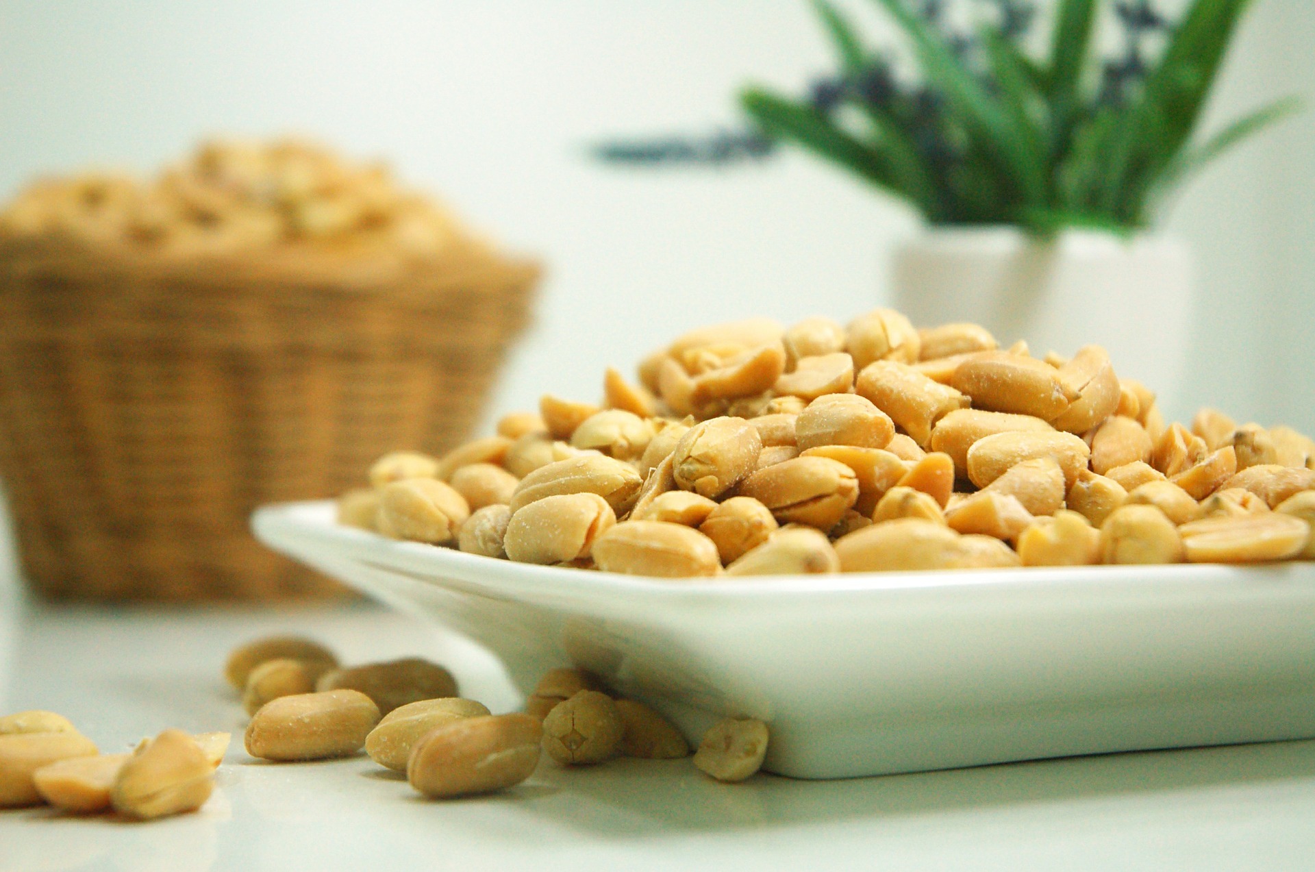 Order 8 oz. Unsalted Roasted Peanuts by DG Pantry food online from Desi Galli store, New York on bringmethat.com
