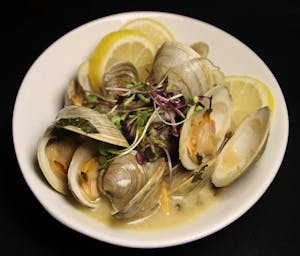 Order Steamed Clams food online from Marco Polo's store, Westbury on bringmethat.com
