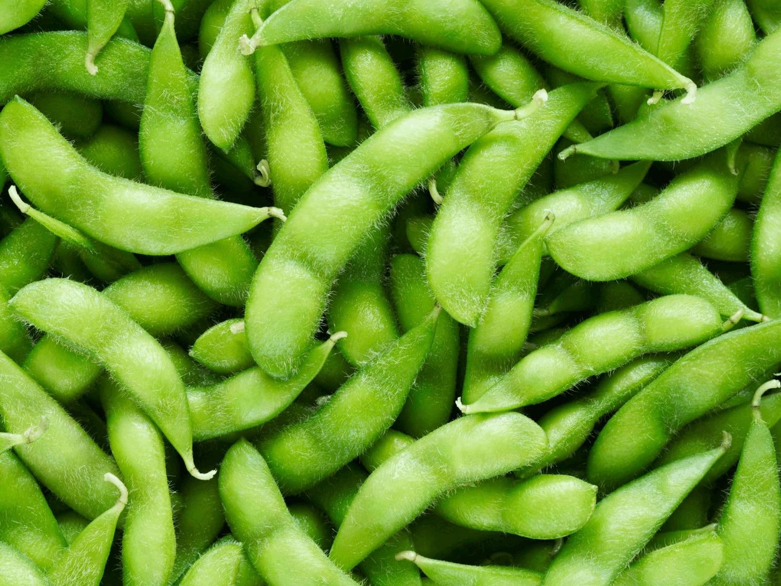 Order Edamame food online from Similan Thai & Sushi store, Chicago on bringmethat.com
