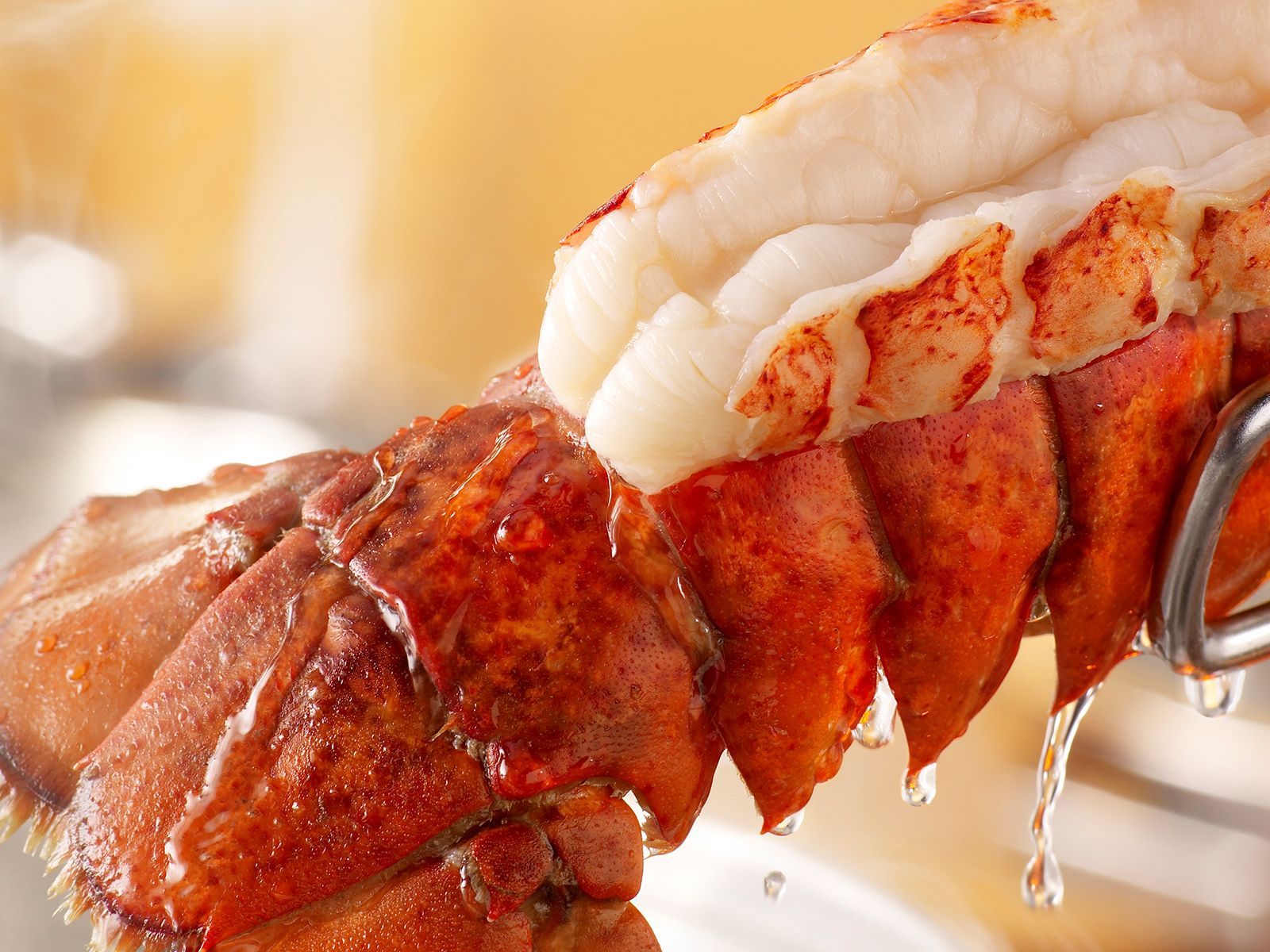 Order LOBSTER TAIL food online from Super Crab Juicy Seafood store, Rochester on bringmethat.com