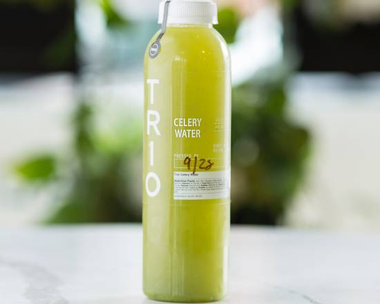 Order Celery Water food online from Chickpea store, Chicago on bringmethat.com
