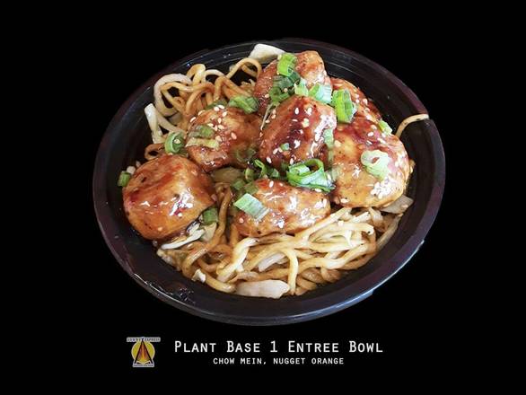 Order Plant Base 1 Entree Bowl food online from Sunny Express Gourmet Fast Food store, Compton on bringmethat.com