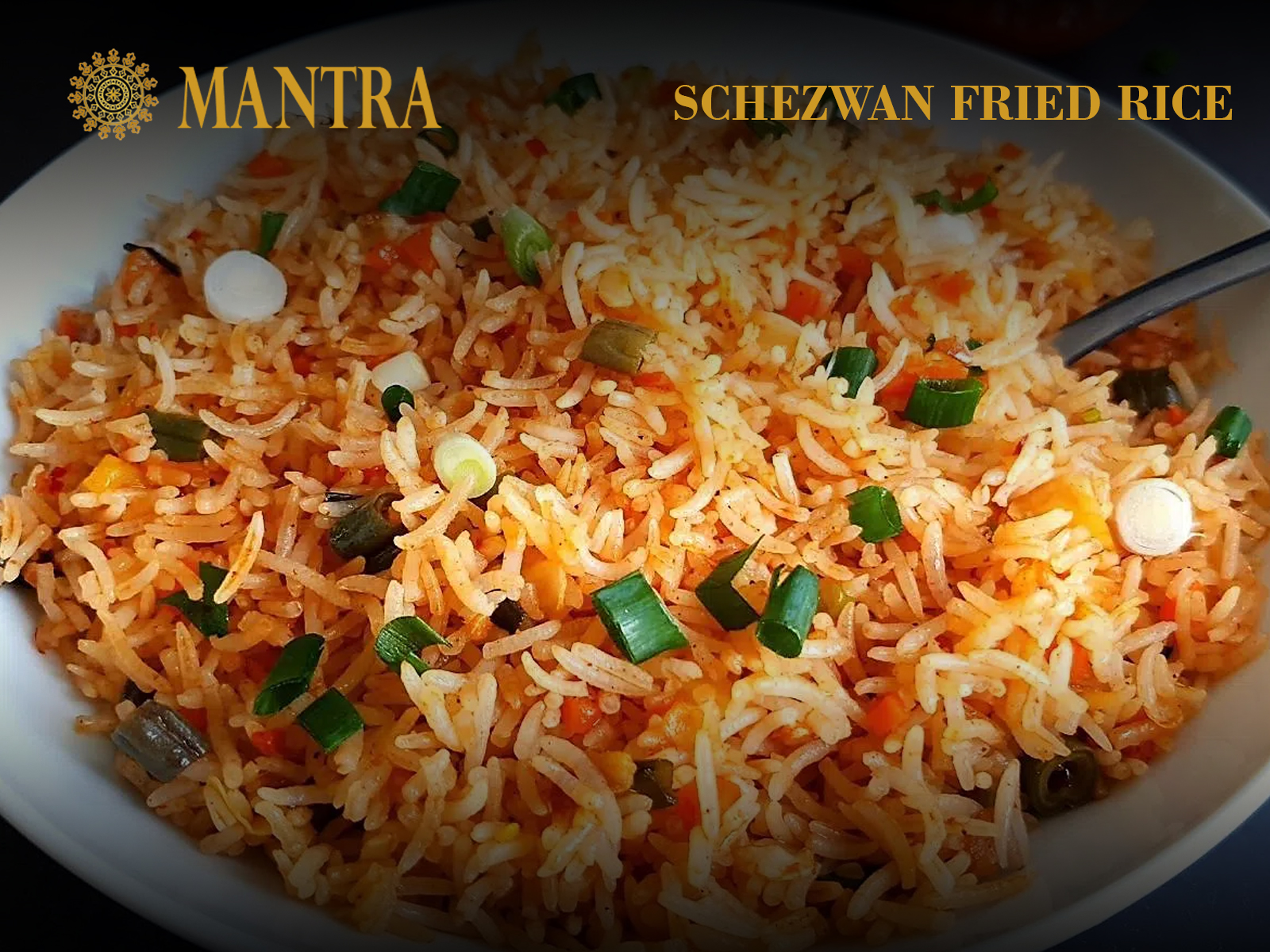 Order Schezwan Fried Rice food online from Mantra restaurant store, Jersey City on bringmethat.com