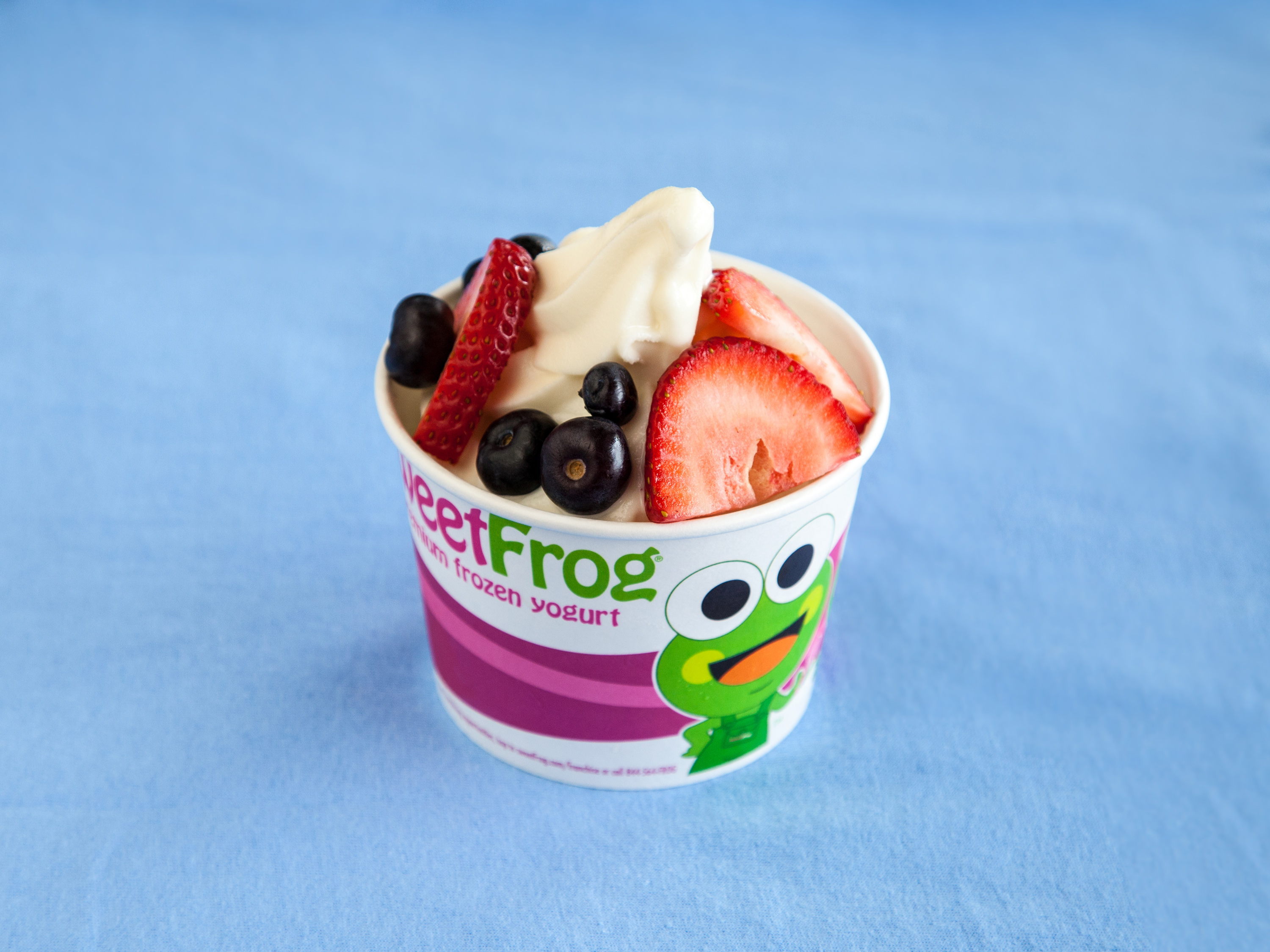 Order Non Fat Vanilla Soft Serve food online from sweetFrog store, Newport News on bringmethat.com