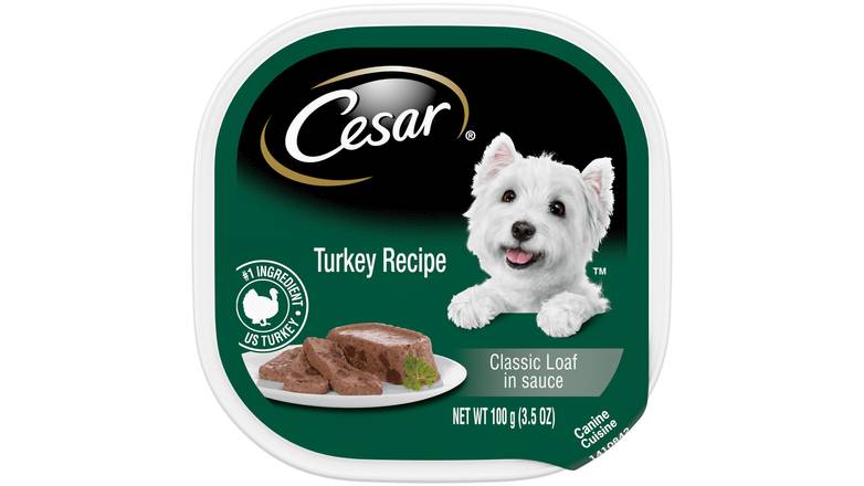 Order Cesar Classic Loaf In Sauce Turkey Recipe Dog Food food online from Red Roof Market store, Lafollette on bringmethat.com