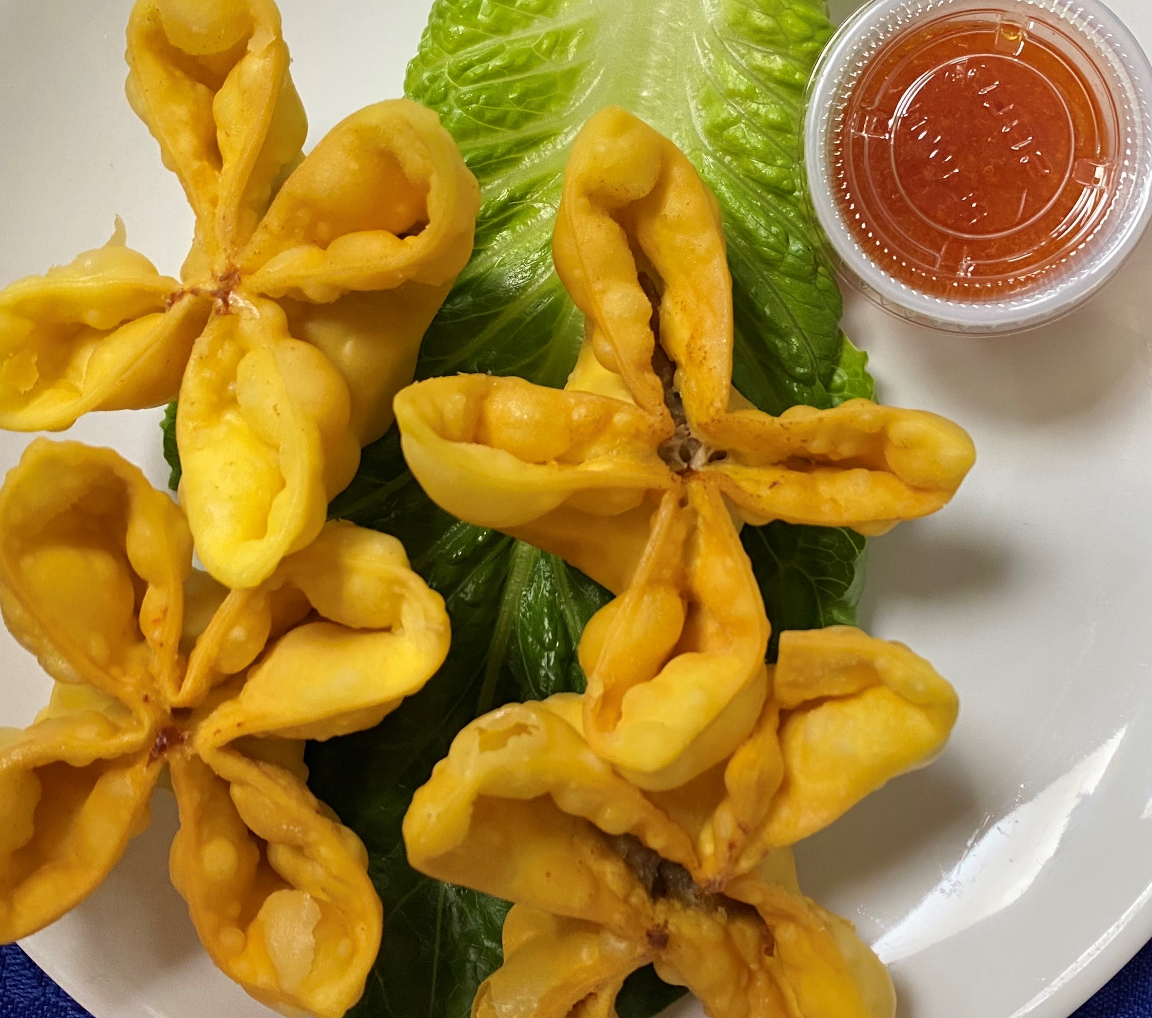 Order Fried Wonton(6PC) food online from Blossom Root Asian Cuisine store, New City on bringmethat.com