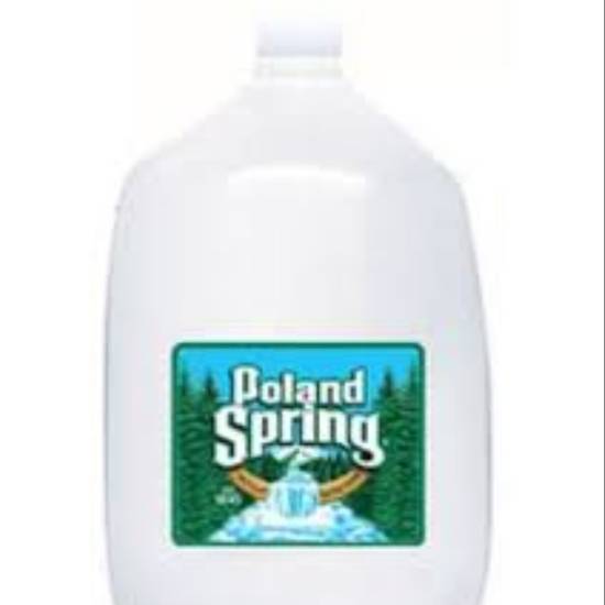 Order  Poland Spring Gallon food online from 23rd Avenue Deli &amp; Grocery store, Queens on bringmethat.com