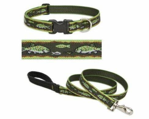 Order Lupine  Collar Brook Trout (1" Wide)  food online from What The Fluff? Pet Store & More! Llc store, Woodridge on bringmethat.com