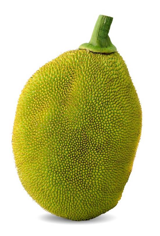 Order Yellow Jackfruit food online from Albertsons Express store, Watauga on bringmethat.com