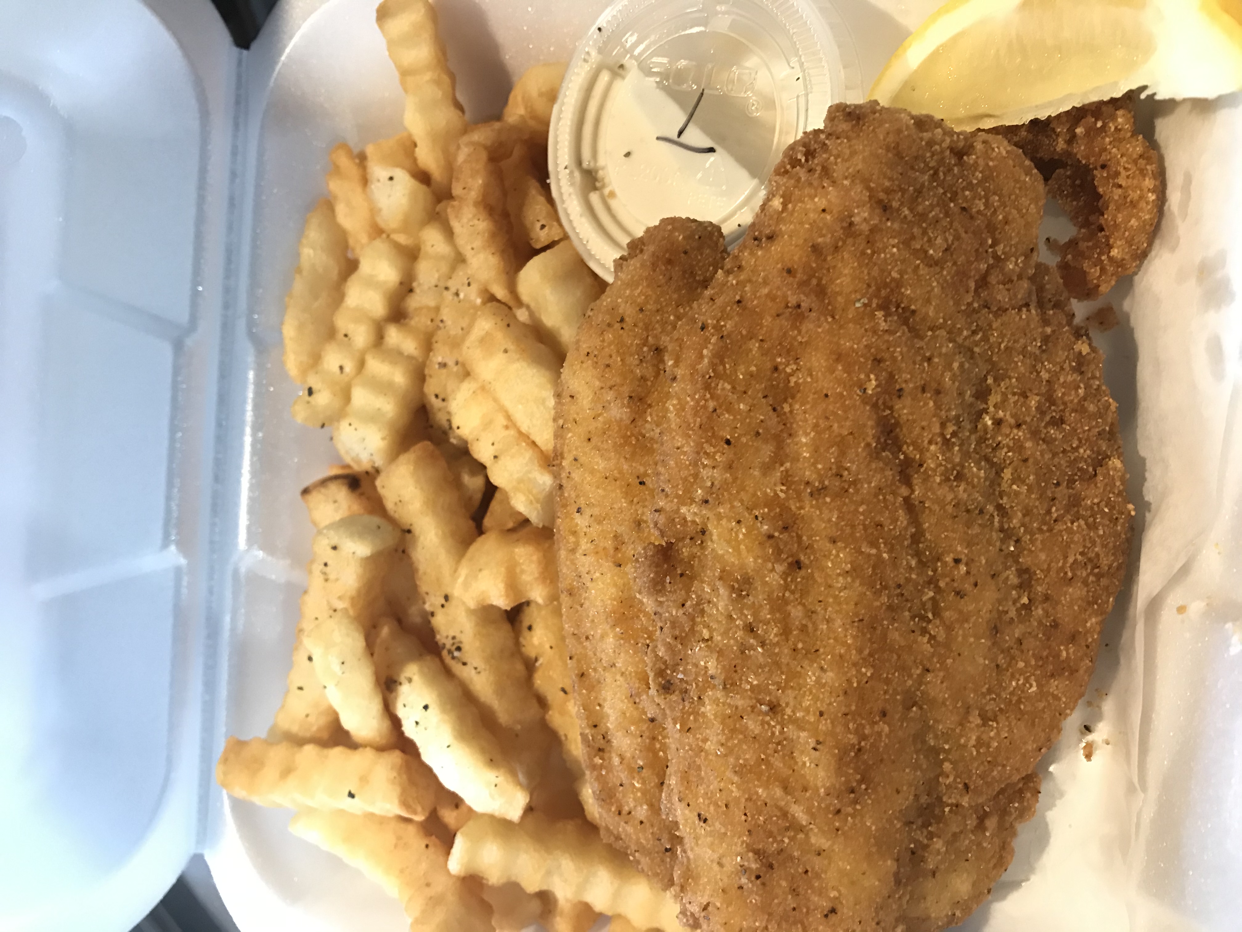 Order Catfish Over Rice  food online from The Cheesesteak House store, Philadelphia on bringmethat.com
