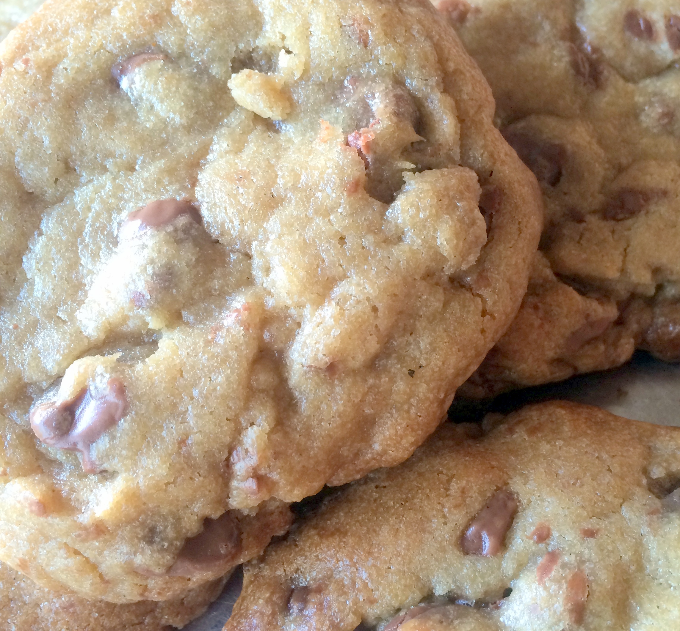 Order Homemade Chocolate Chip Cookies food online from MoDish BBQ store, Sherman Oaks on bringmethat.com