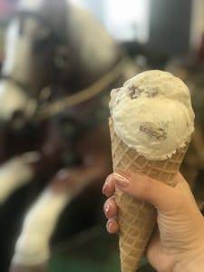 Order 1-Dip Ice Cream food online from Butt Drugs, Inc store, Corydon on bringmethat.com