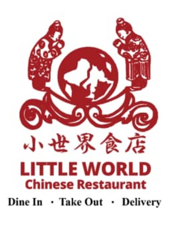 Order Fried Wonton (10 pcs) food online from Little World Chinese Restaurant store, South Salt Lake on bringmethat.com
