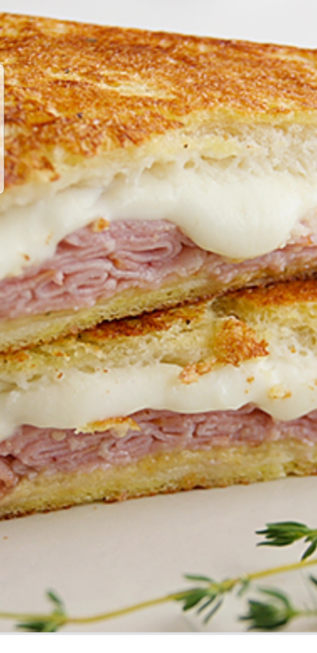 Order The Toasted monte Cristo panini food online from Bedford gourmet food store, Brooklyn on bringmethat.com