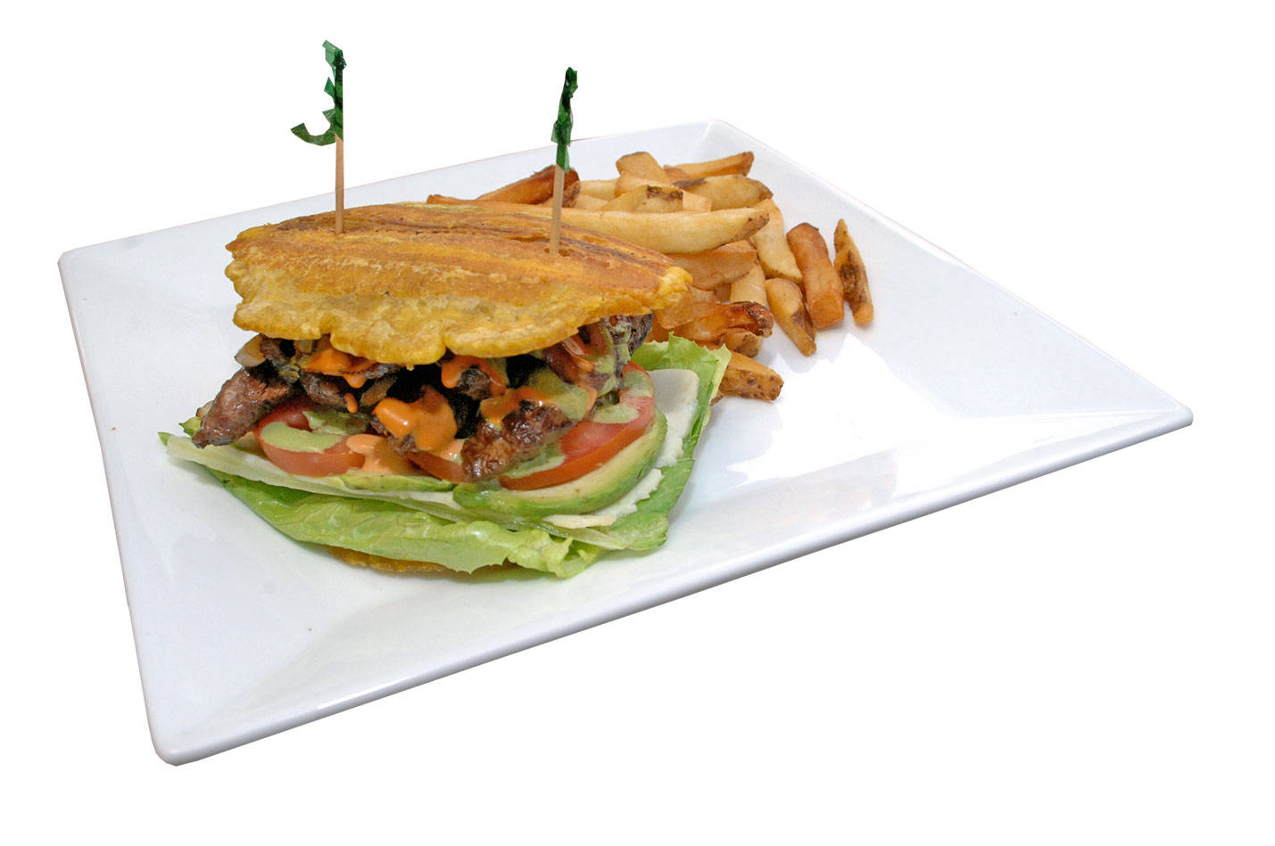Order Jibarito Sandwich food online from Tepe Kitchen store, White Plains on bringmethat.com