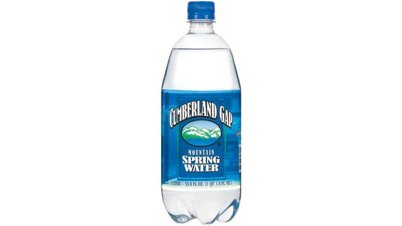 Order Cumberland Gap Mountain Spring Water food online from Red Roof Market store, Lafollette on bringmethat.com