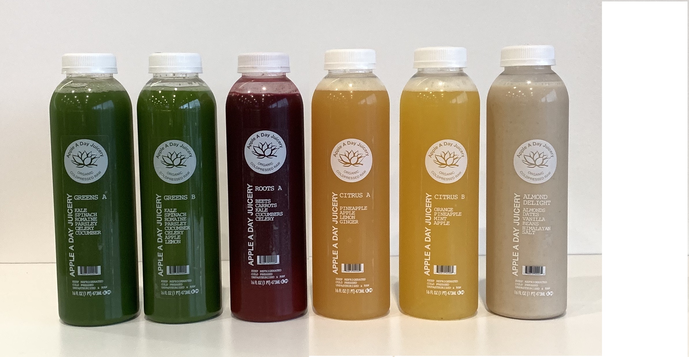 Order 3 Day Cleanse food online from Apple A Day Cafe store, Miami Beach on bringmethat.com