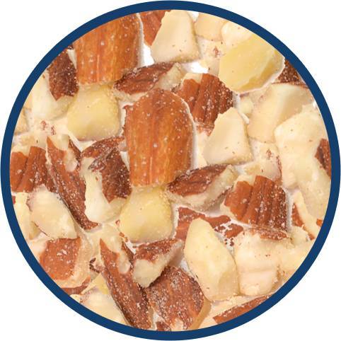 Order 1/3 CUP Dixie Nuts food online from Bruster Real Ice Cream store, Athens on bringmethat.com