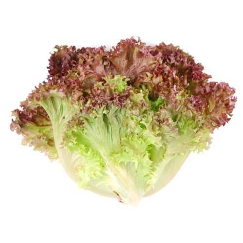 Order Red Leaf Lettuce (1 ct) food online from Safeway store, Pacifica on bringmethat.com
