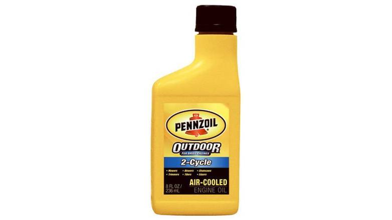 Order Pennzoil Quaker State 2 Cycle Small Engine Oil 8 Oz food online from Valero Food Mart store, Murrayville on bringmethat.com