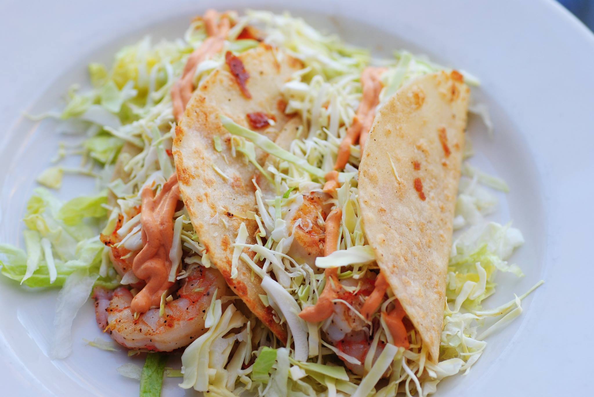 Order Shrimp Taco Plate food online from Vivo Austin store, Austin on bringmethat.com