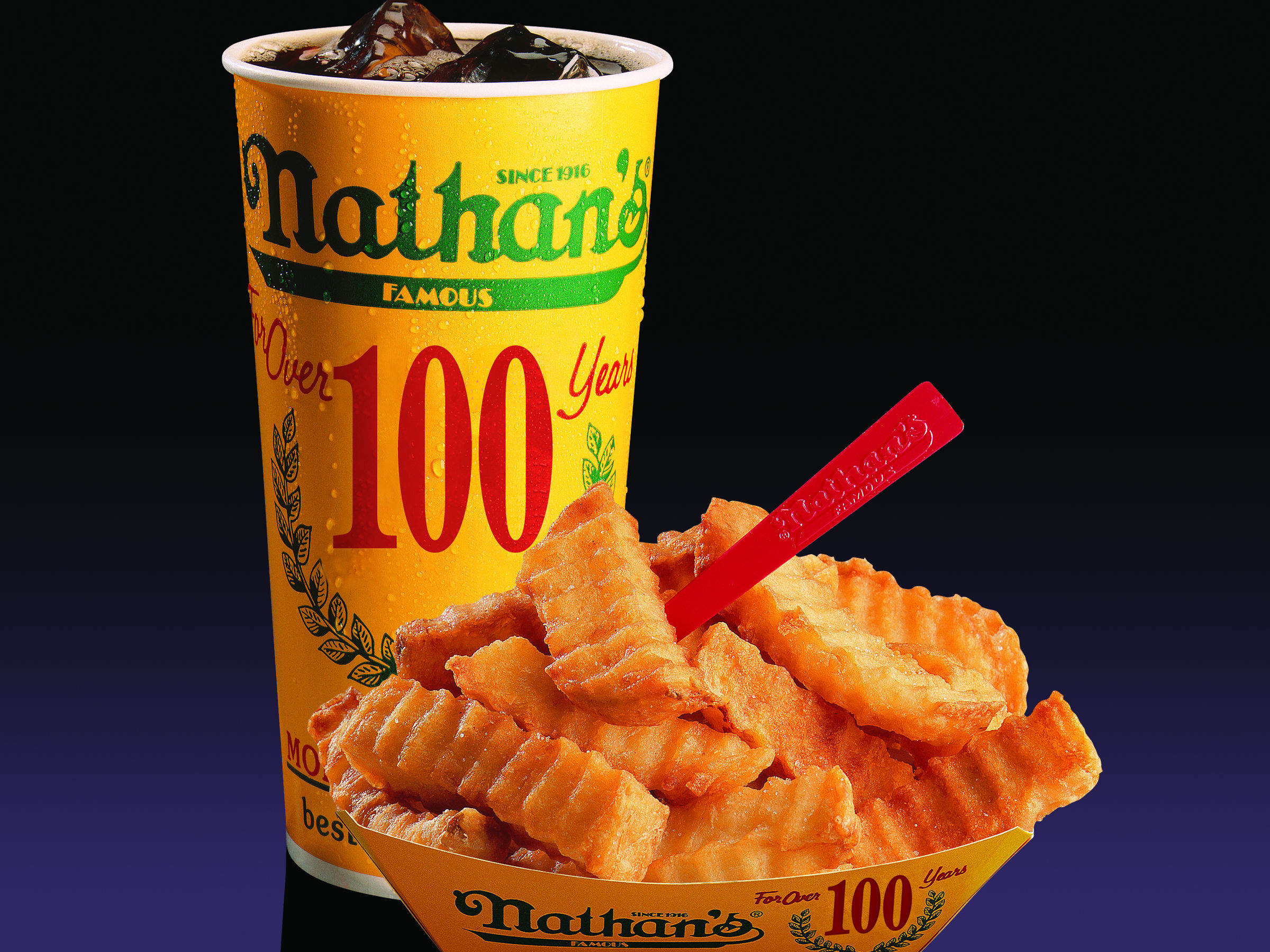 Order Hot Dog Combo Meal food online from Nathan's Hot Dogs store, Charlotte on bringmethat.com