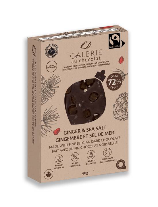 Order Jelina Chocolatier Fairtrade Mini Bark Bar Ginger & Sea Salt - 1.41 oz food online from Rite Aid store, LEHIGHTON on bringmethat.com