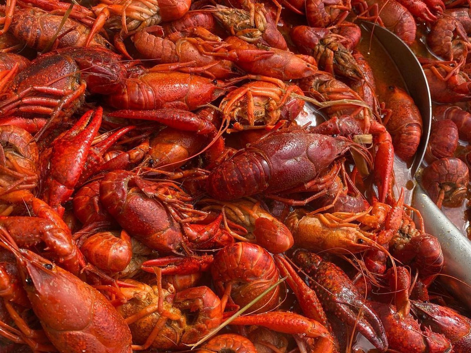 Order CRAWFISH food online from Super Crab Juicy Seafood store, Rochester on bringmethat.com