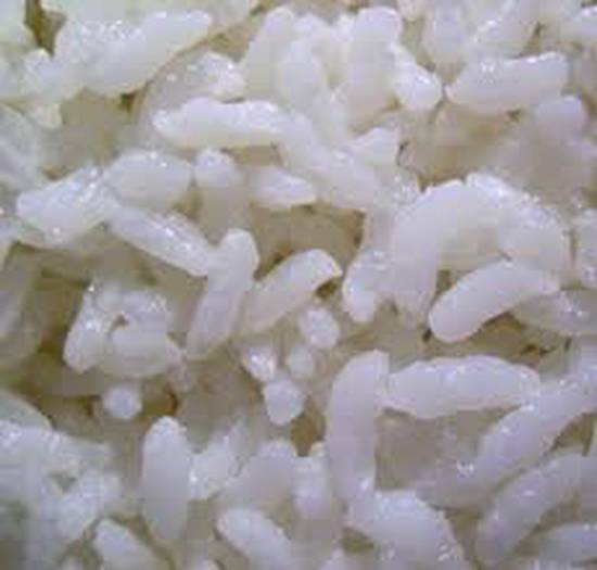 Order White Rice food online from Lee's Kitchen store, Raleigh on bringmethat.com