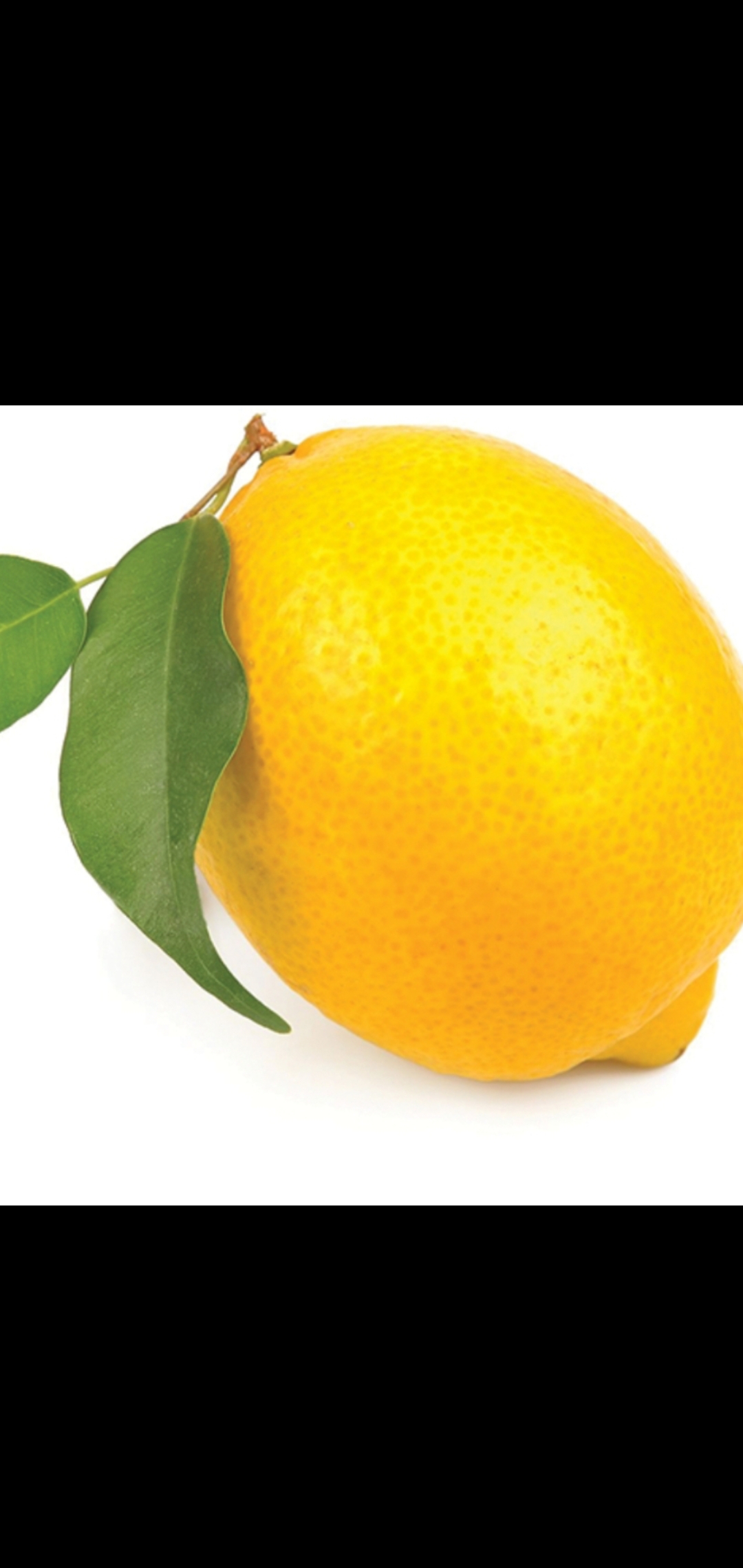Order Lemon  food online from American Gourmet Foods Deli store, New York on bringmethat.com