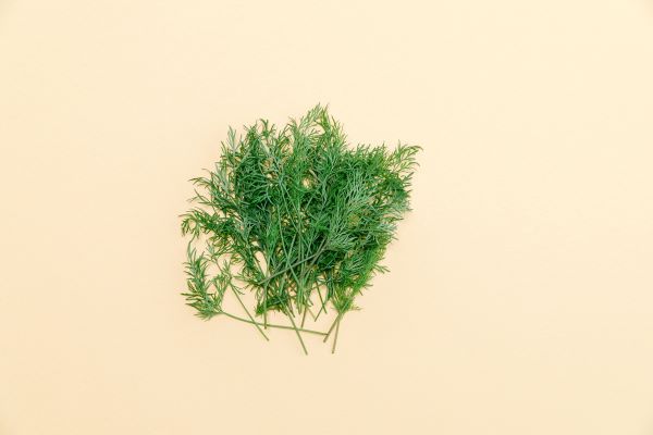 Order Dill food online from Planted Detroit store, Detroit on bringmethat.com