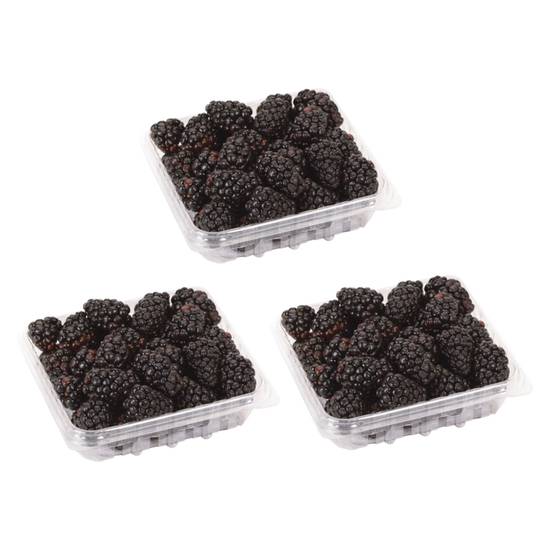 Order Blackberries 6oz 3pk food online from Everyday Needs by Gopuff store, Boston on bringmethat.com