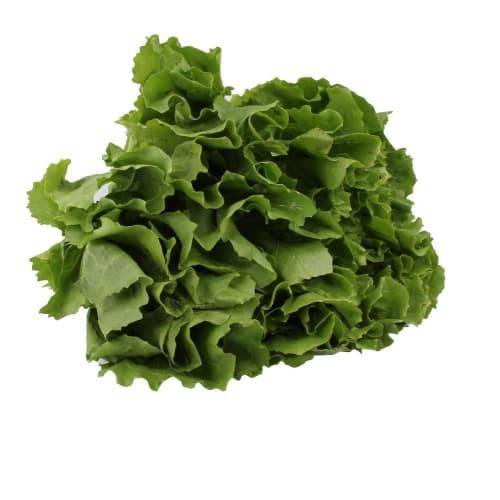 Order Lettuce Escarole (1 ct) food online from Vons store, Redondo Beach on bringmethat.com