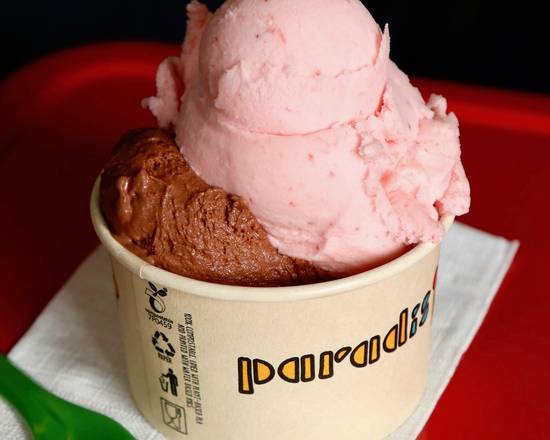 Order Small Ice Cream Cup food online from Paradis Ice Cream Pch Highway store, Dana Point on bringmethat.com