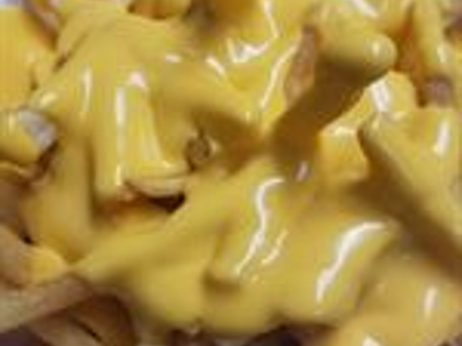 Order Cheese Fries food online from Squabs Gyros store, Melrose Park on bringmethat.com