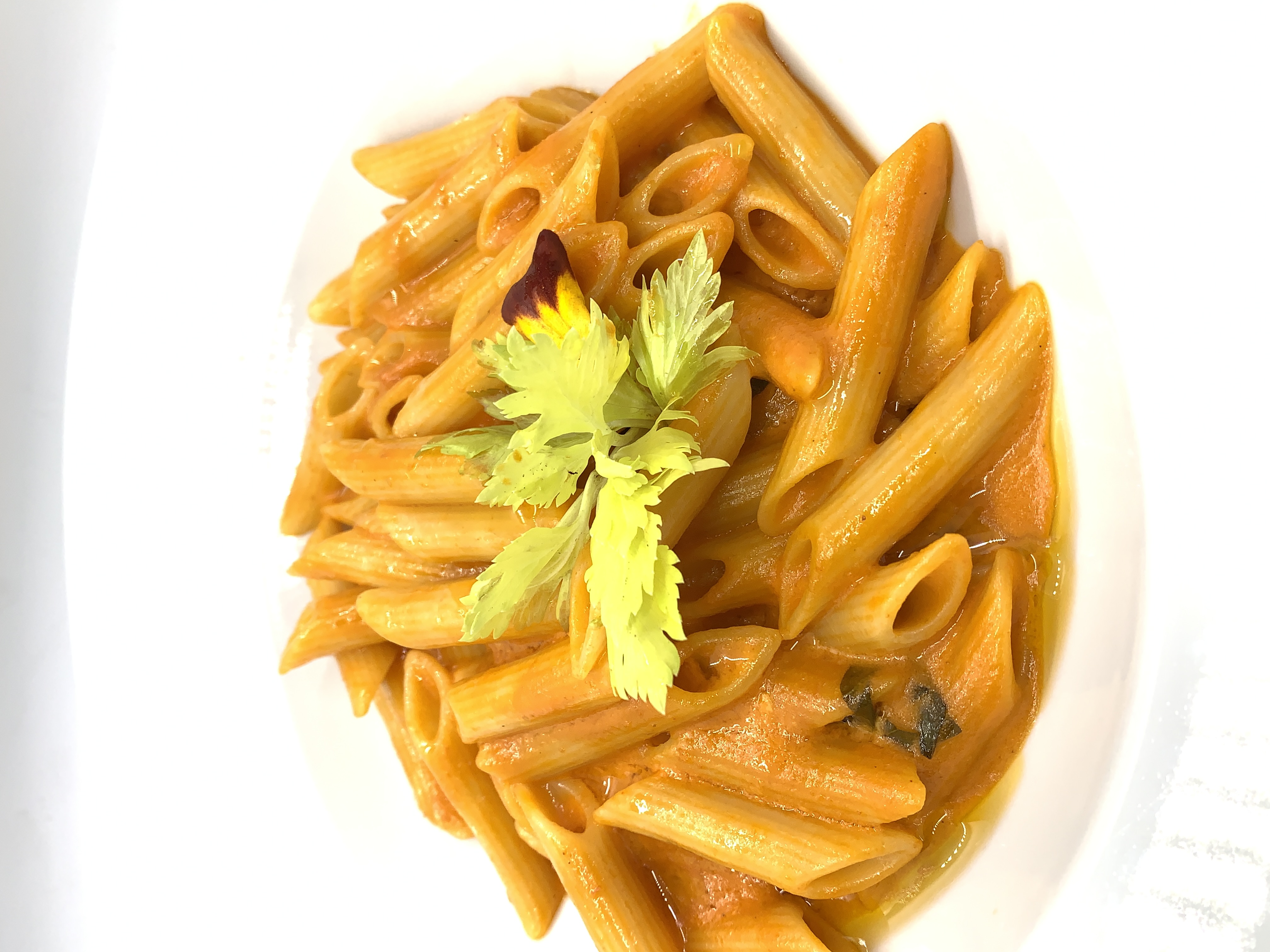 Order Penne Rosa food online from Il Cielo store, Beverly Hills on bringmethat.com