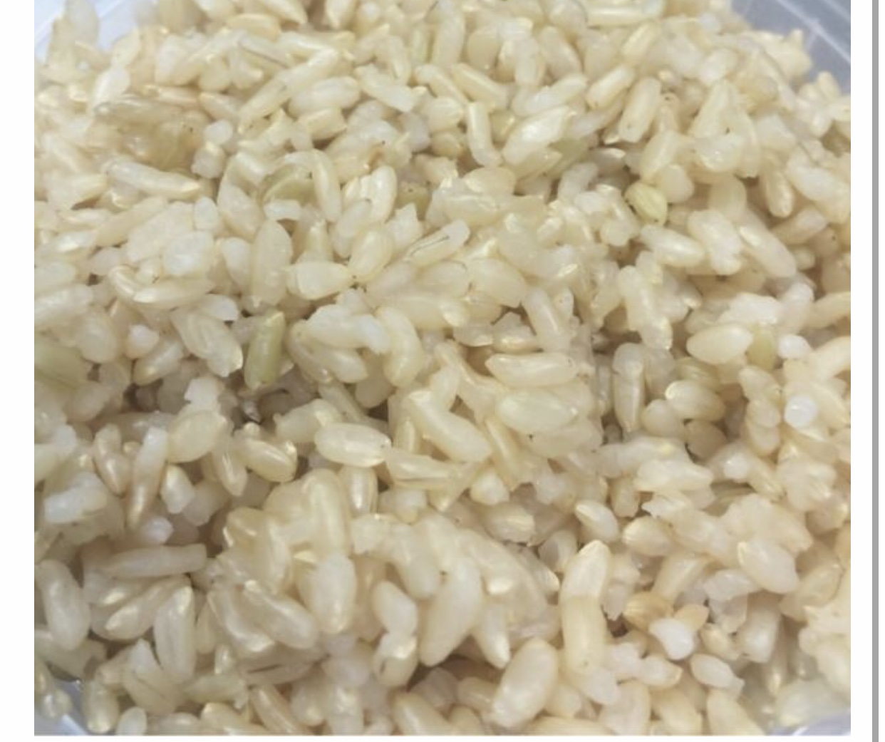 Order Brown Rice 黑饭 food online from China Star store, Blue Bell on bringmethat.com