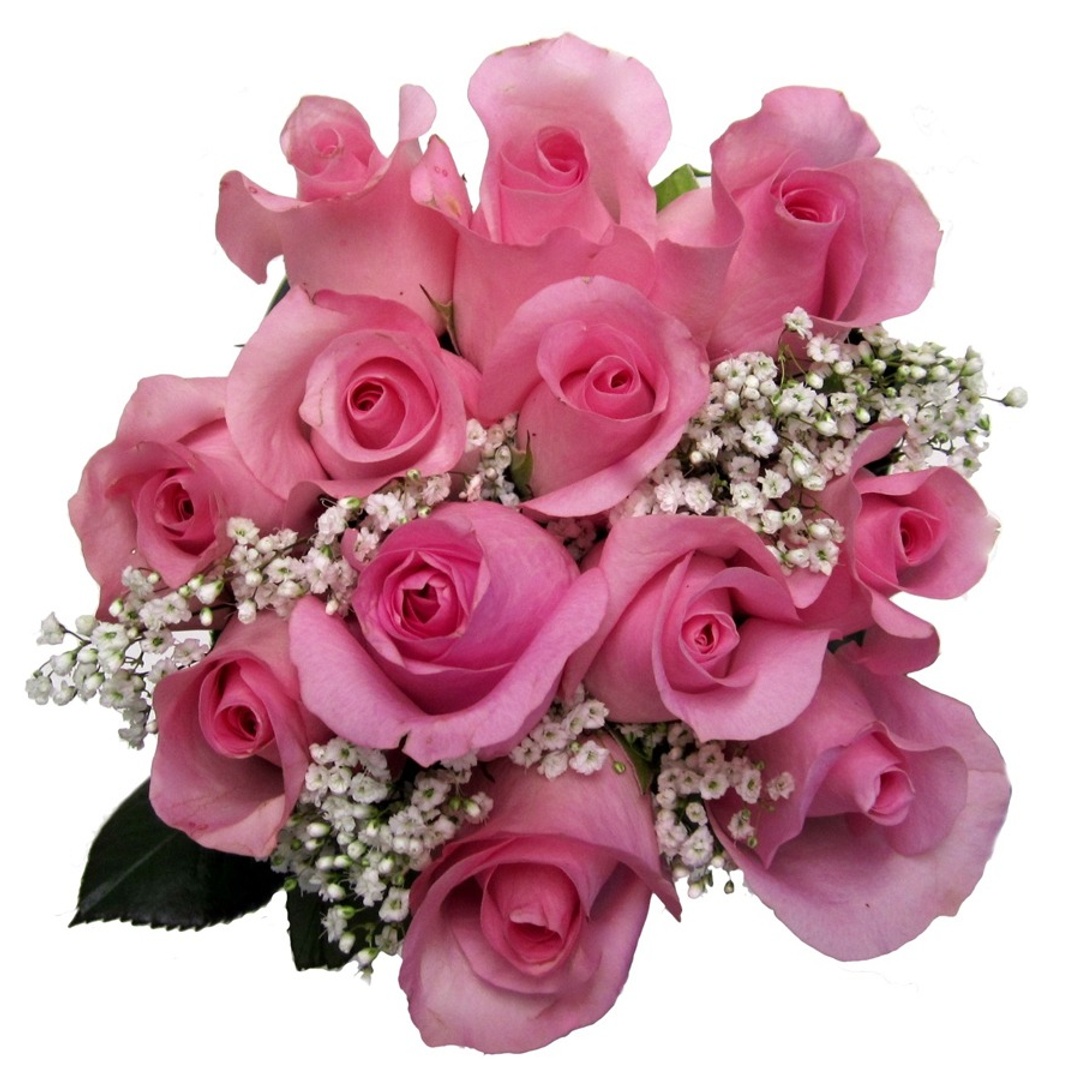 Order Dozen Rose Bouquet, Pink food online from Lucky California store, Castro Valley on bringmethat.com
