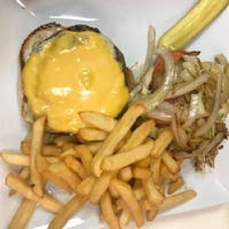 Order Cheeseburger Plate - Plate food online from New York Flying Pizza store, Bridgewater on bringmethat.com