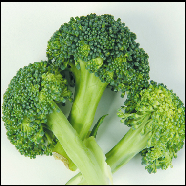Order Broccoli food online from Pho Tasty store, Artesia on bringmethat.com