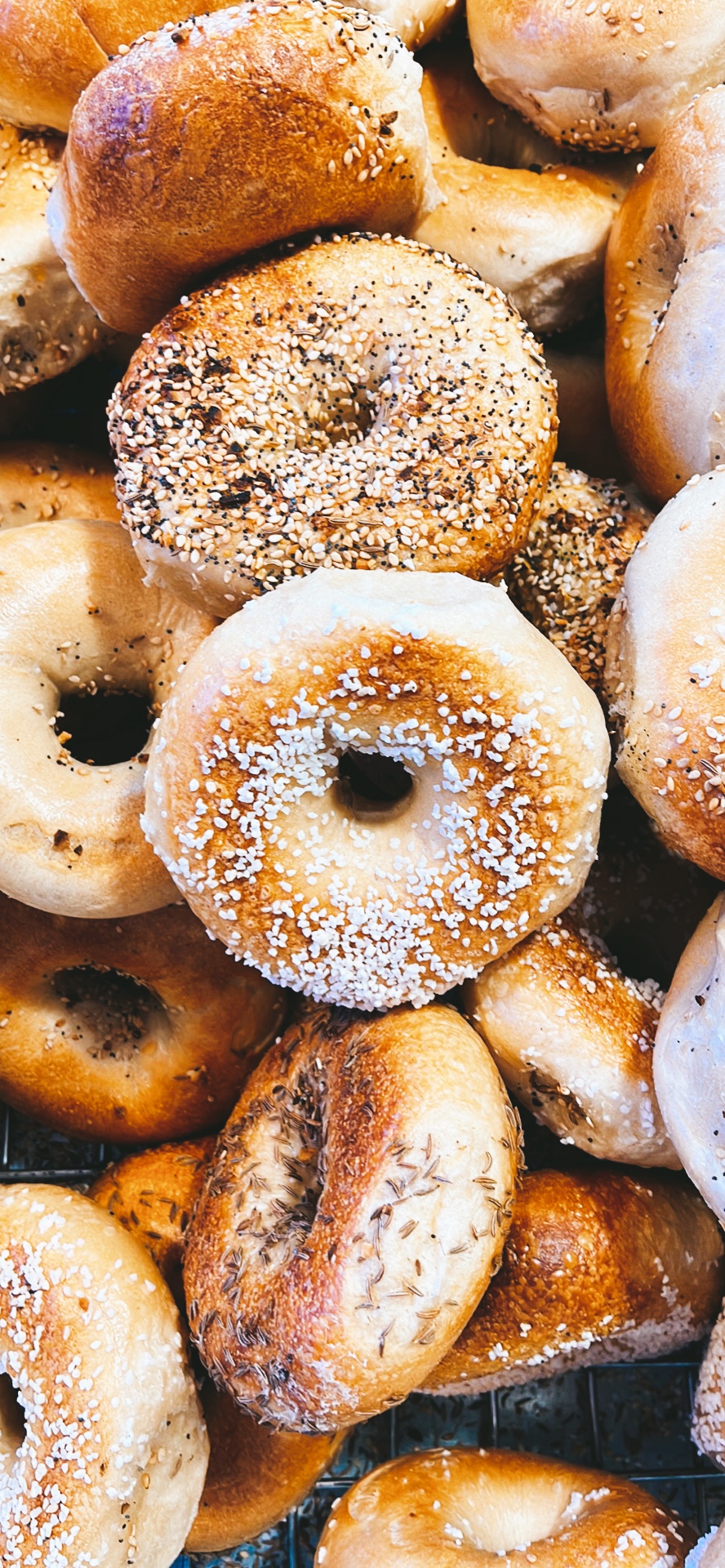 Order 12 Bagels  food online from Bagelry store, Rockville Centre on bringmethat.com