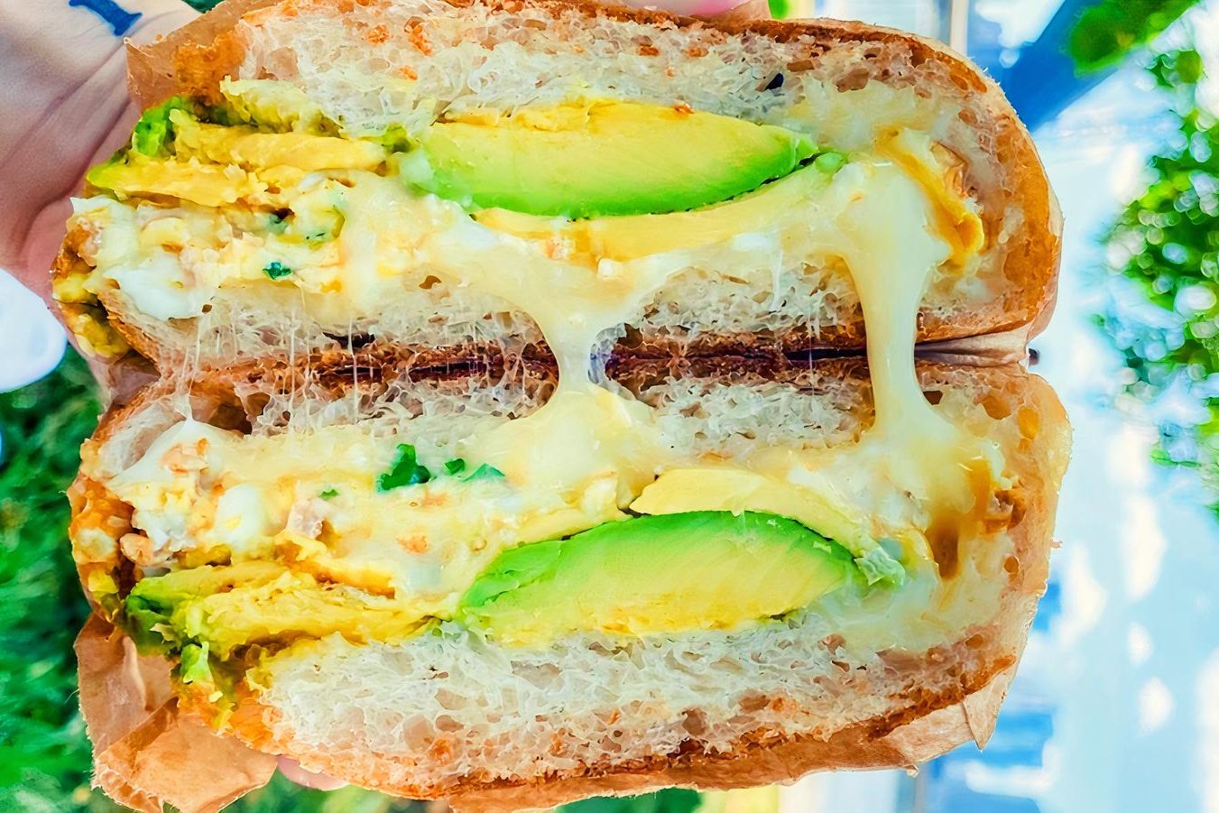 Order Egg, Cheese ＆ Avocado food online from Pause Cafe store, New York on bringmethat.com