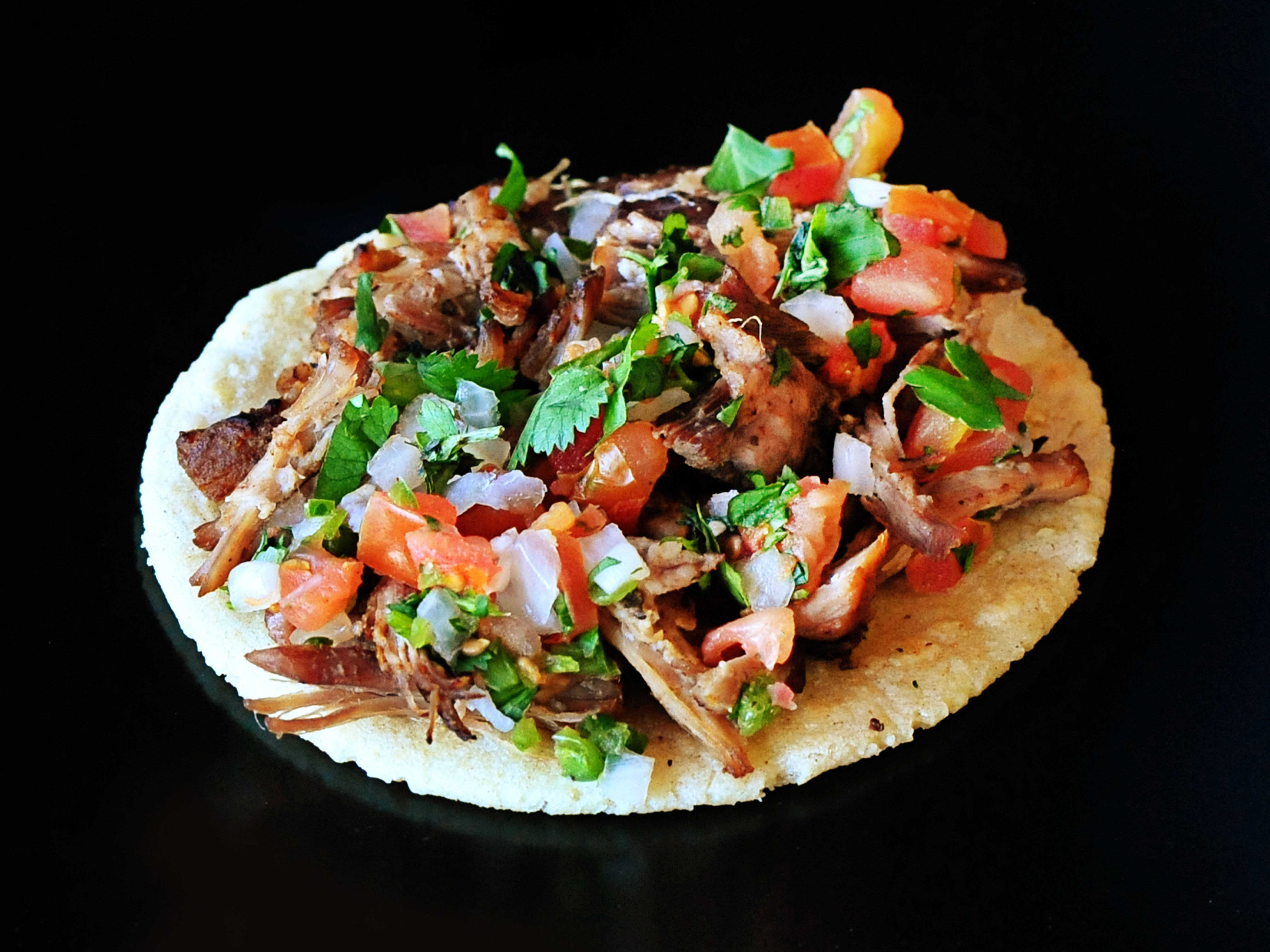 Order Carnitas food online from Fiesta Taco Grill store, Newhall on bringmethat.com