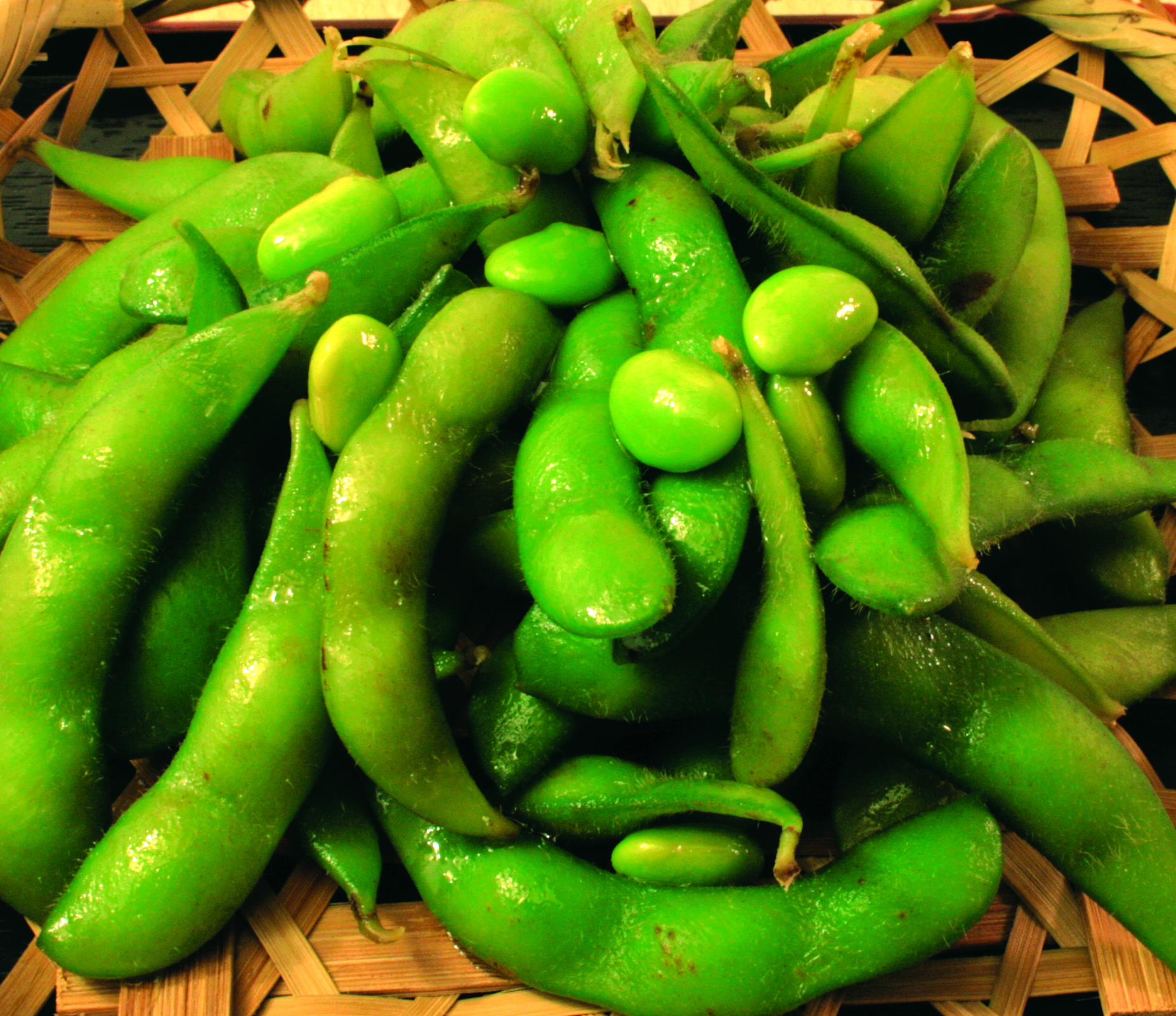 Order Edamame food online from Sushi Dragon store, Sun Valley on bringmethat.com