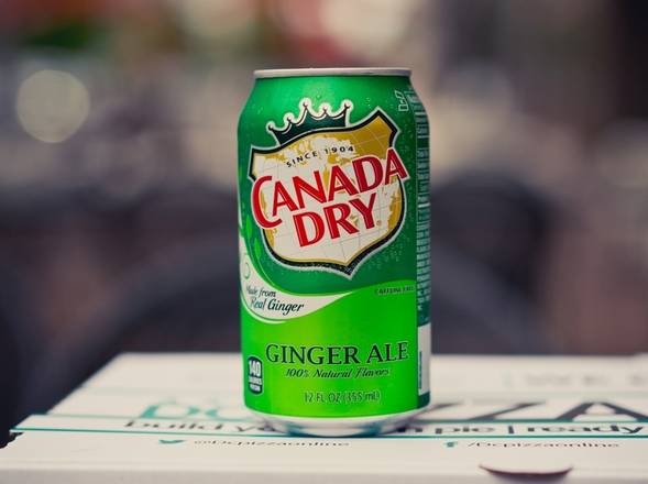 Order Ginger Ale Can food online from DC Pizza store, Washington on bringmethat.com