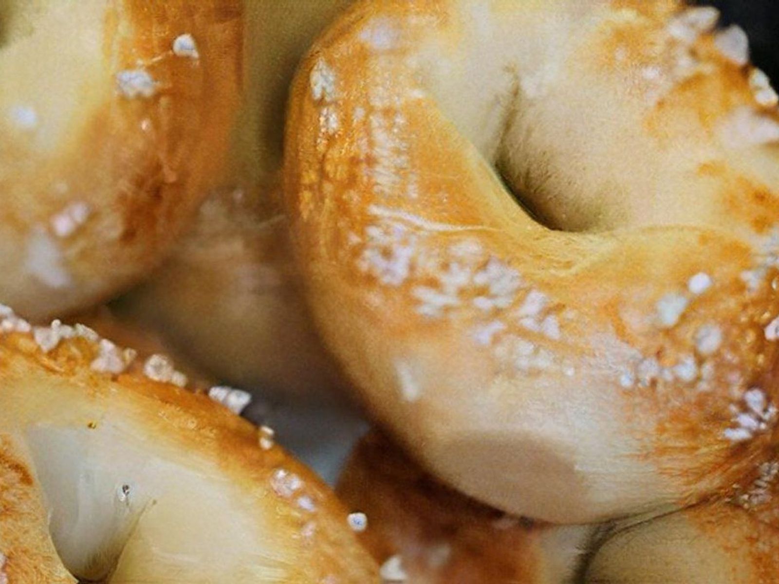 Order Dozen bagels  food online from Bagels by Sofia store, Larchmont on bringmethat.com