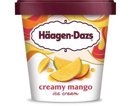 Order Haagen-Dazs Mango Ice Cream 1 Pint  food online from Pit Stop Liquor Mart store, El Monte on bringmethat.com