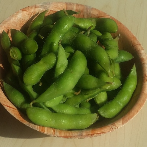 Order Edamame food online from Sushi Don store, Valley Village on bringmethat.com