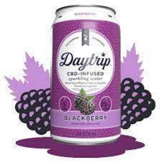 Order Daytrip CBD Infused Sparkling Water - Blackberry food online from IV Deli Mart store, Goleta on bringmethat.com
