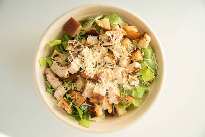 Order Grilled Chicken Caesar Salad food online from Roast Sandwich House store, Hicksville on bringmethat.com